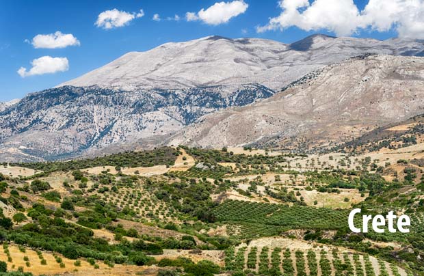 Agriculture Crete 